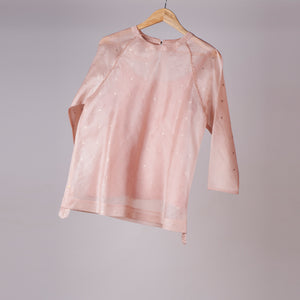 Daisy Zari Jamdani Organza Top